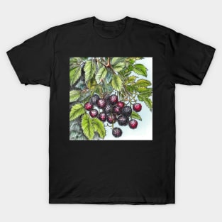 Blackberry drawing T-Shirt